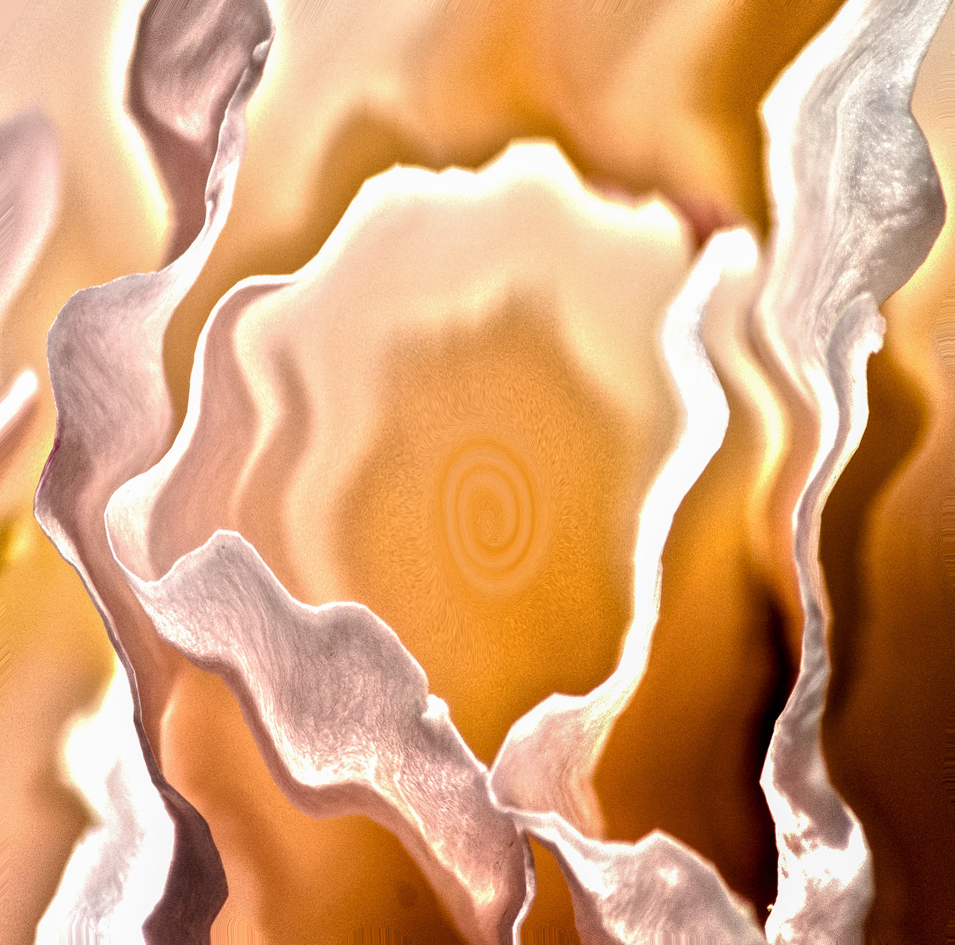 Orange like petals abstract shapes on rough texture orange background with curl