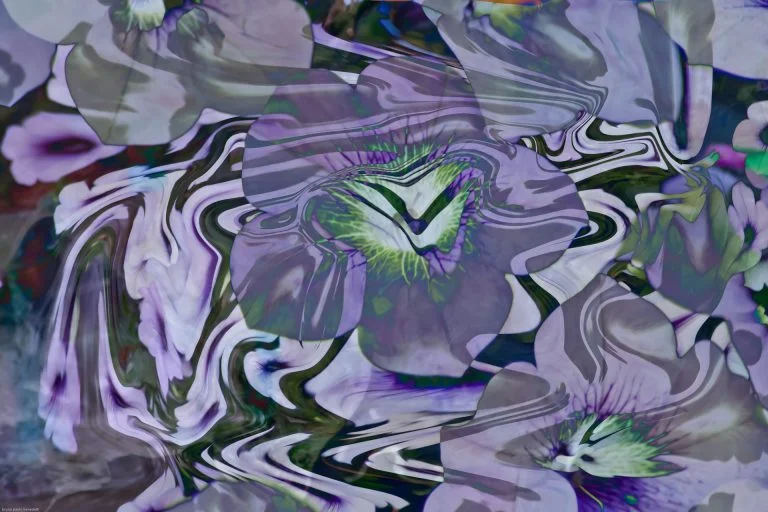 detail of a silhouette of a flower in an image of dominant purple that highlights the particular only by paying attention, as in the spiritual field the search for truth is the result of attention to the details that are proposed to us