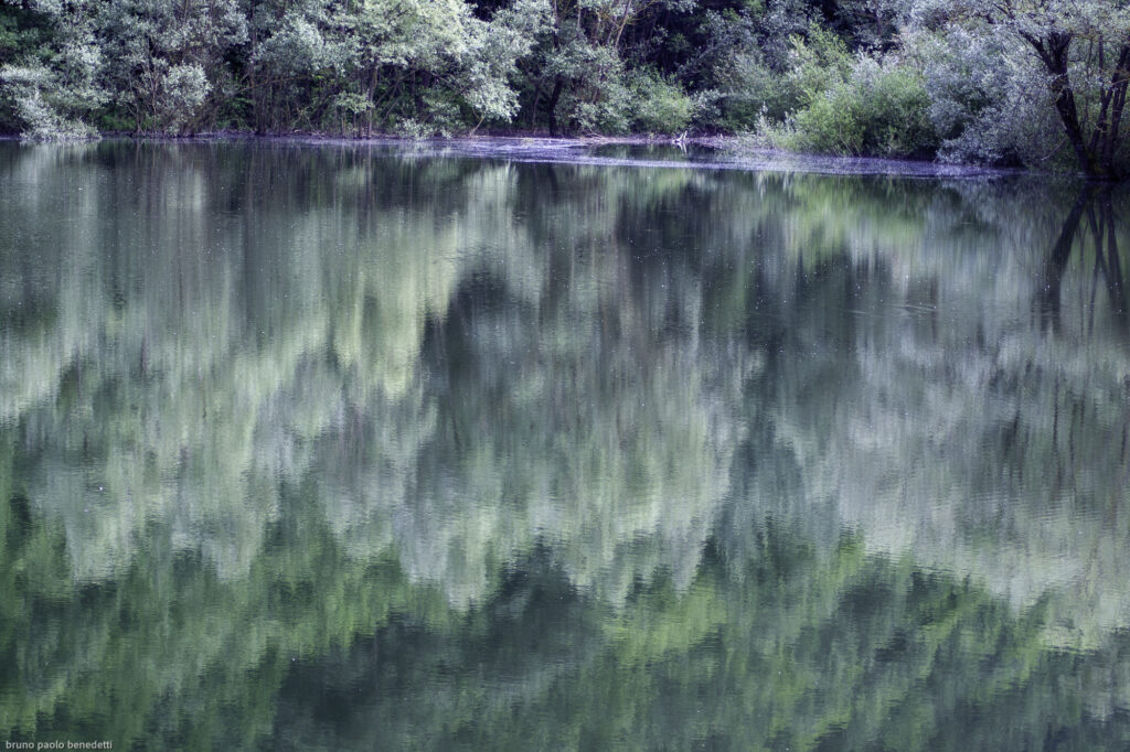 mountain pond with the reflections of trees on the freshly rippled water with a dominant green color