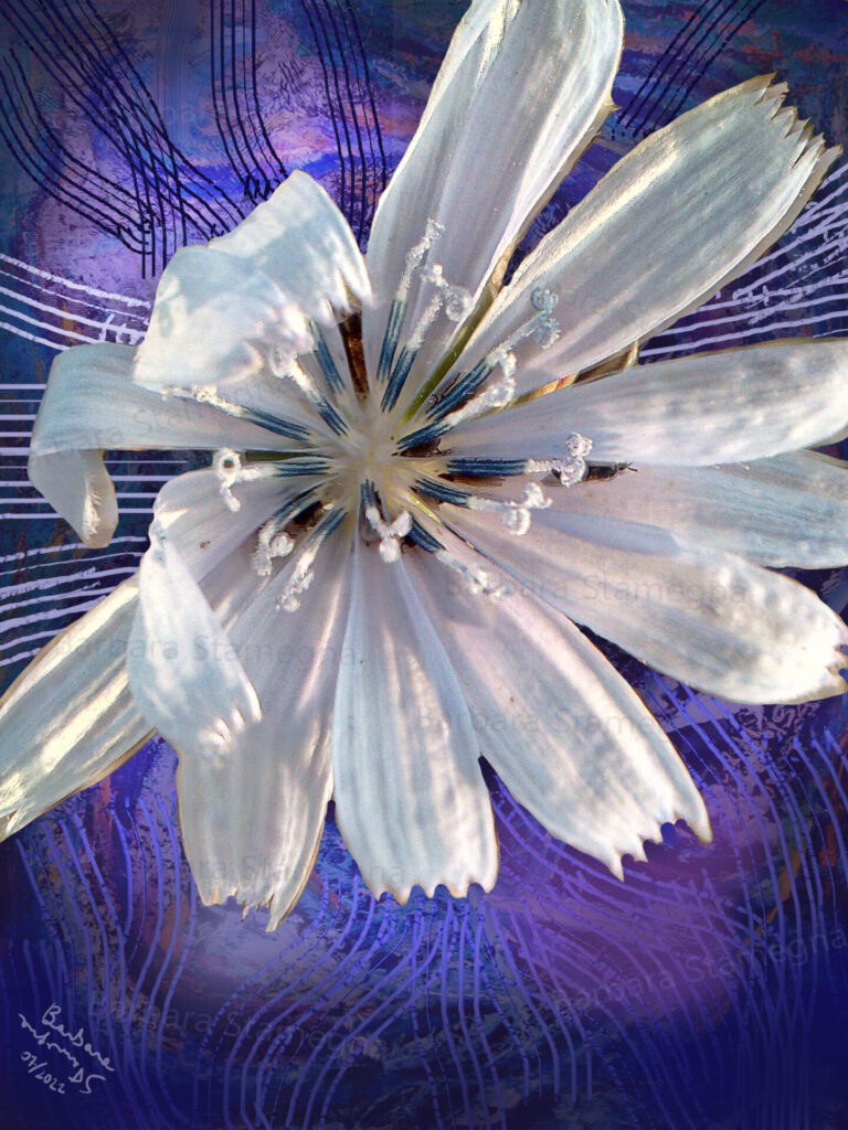 Rising silvery flower digital artwork, made by Barbara Stamegna