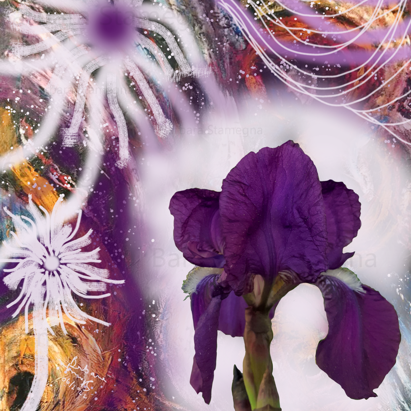 Energy Purple Lily painting, made by Barbara Stamegna